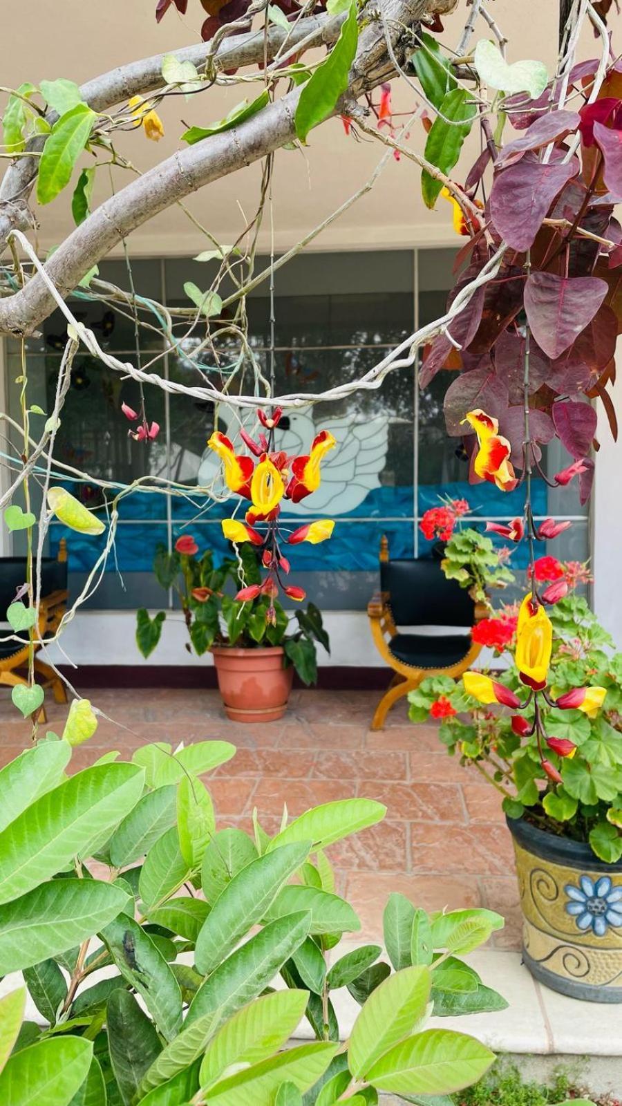 La Chacra De Joel Hotel Huehuetenango Extérieur photo
